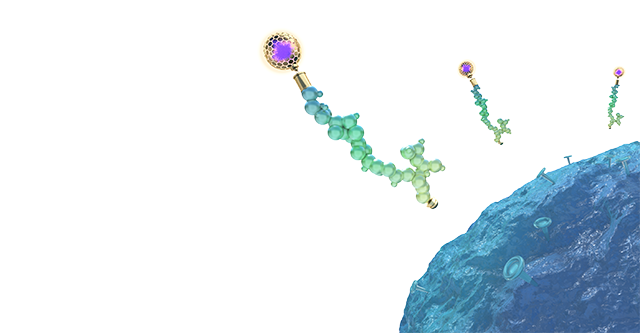 3D model of a radiopharmaceutical.png