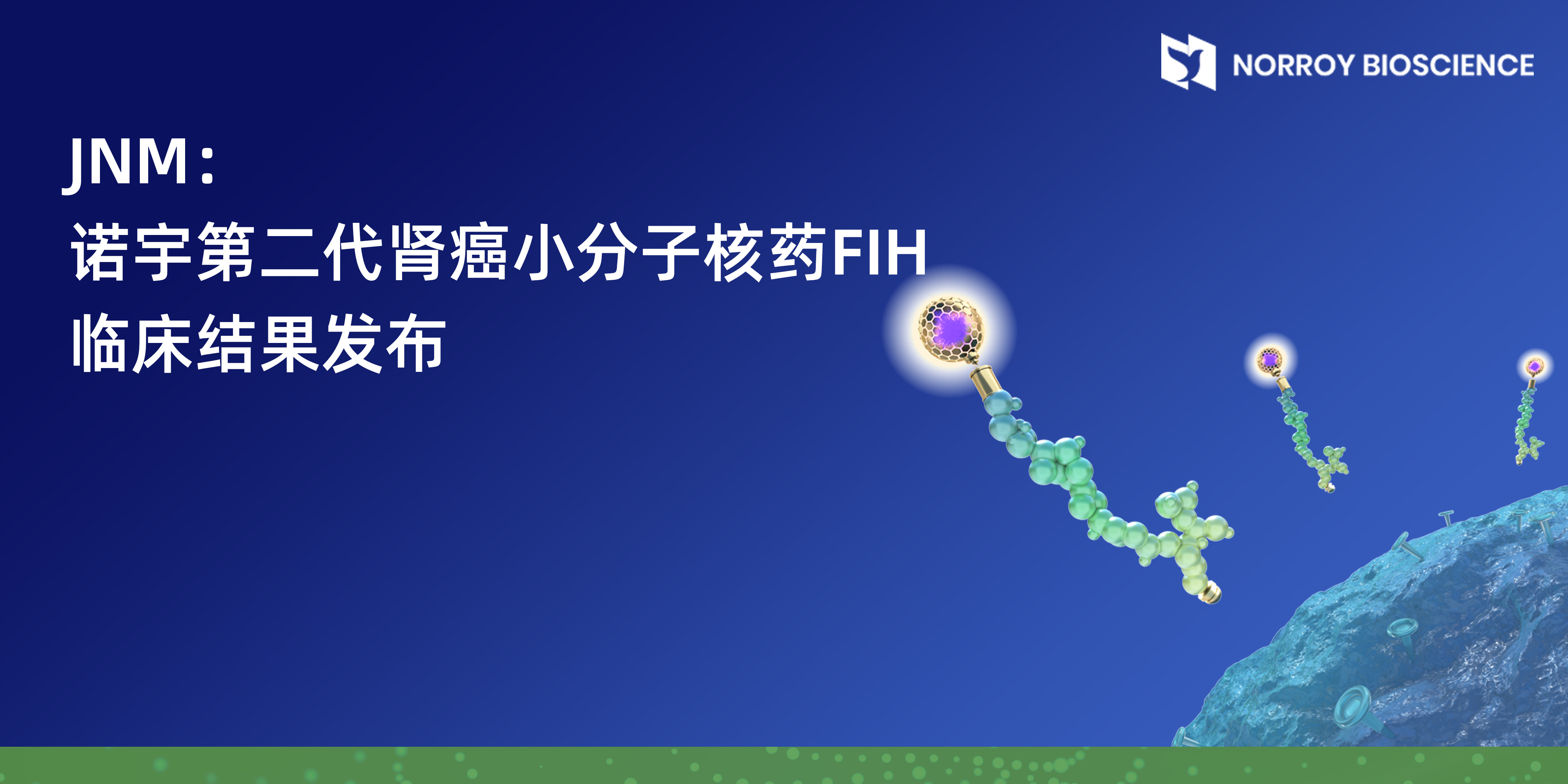 诺宇第二代肾癌小分子核药FIH临床结果发布.jpg