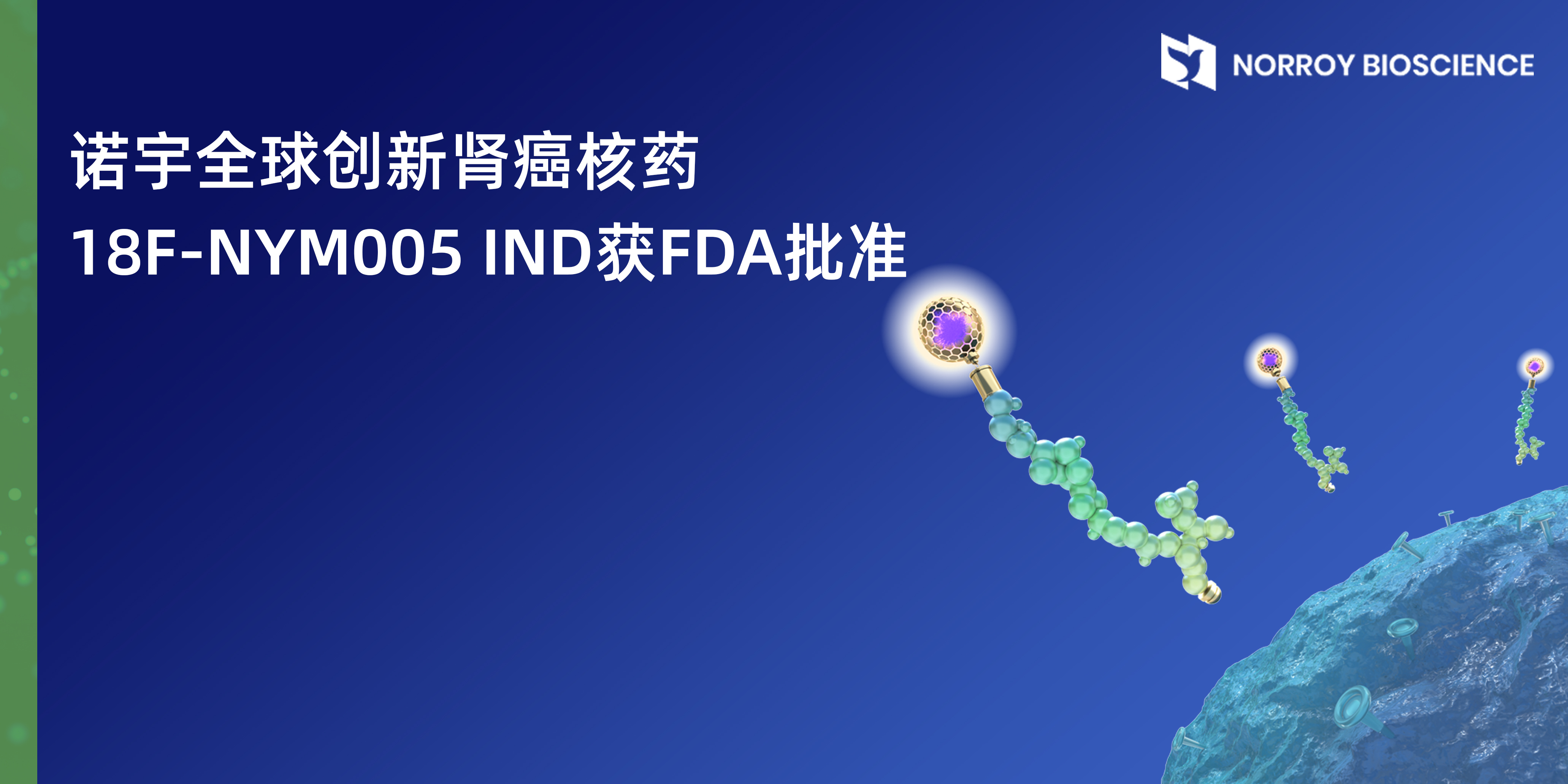 诺宇全球创新肾癌核药18F-NYM005 IND获FDA批准.jpg
