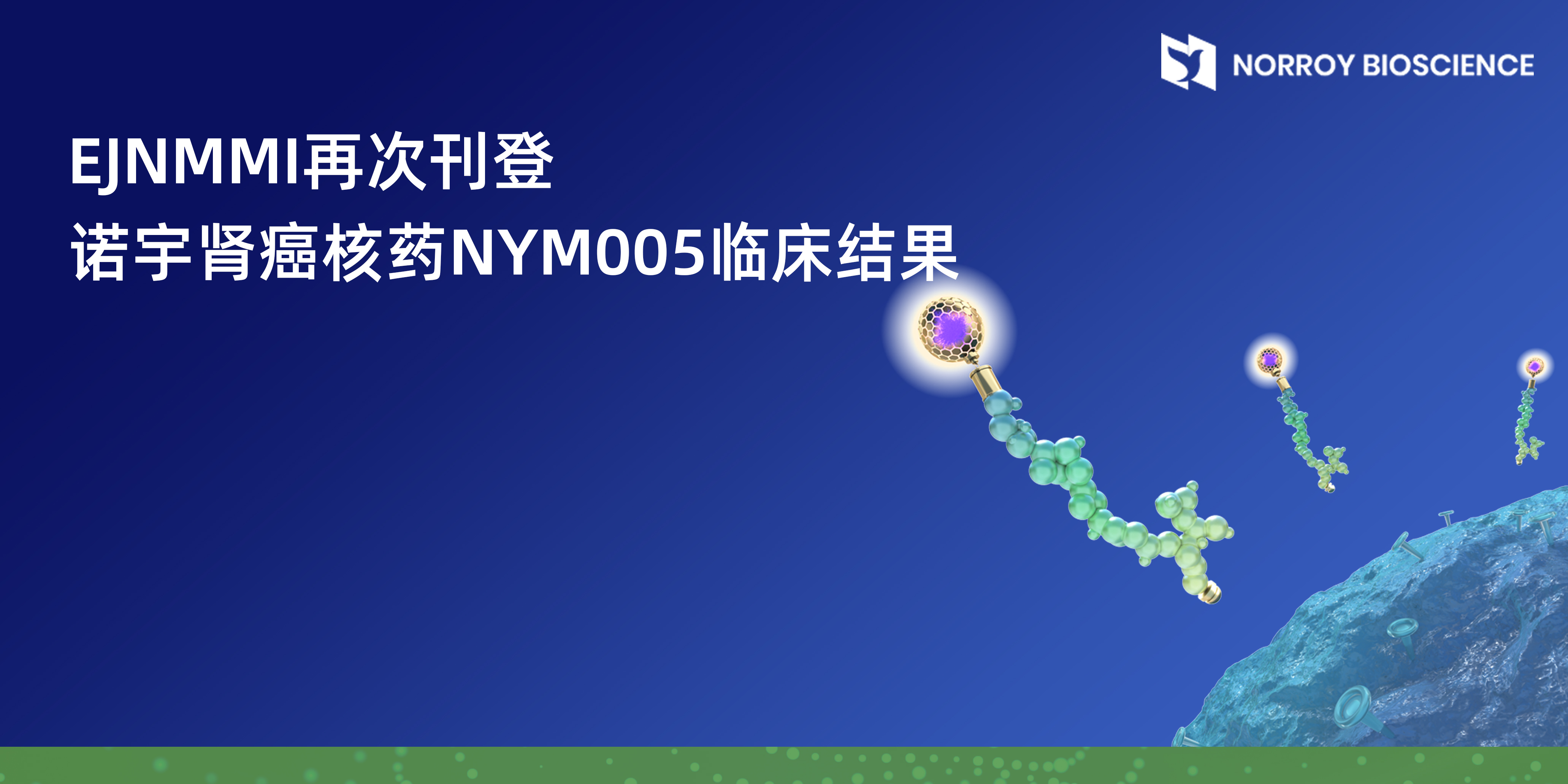 EJNMMI再次刊登诺宇肾癌核药NYM005临床结果.jpg